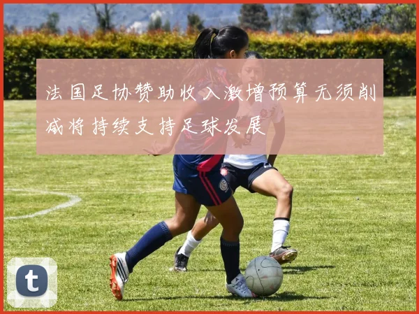 法国足协赞助收入激增预算无须削减将持续支持足球发展