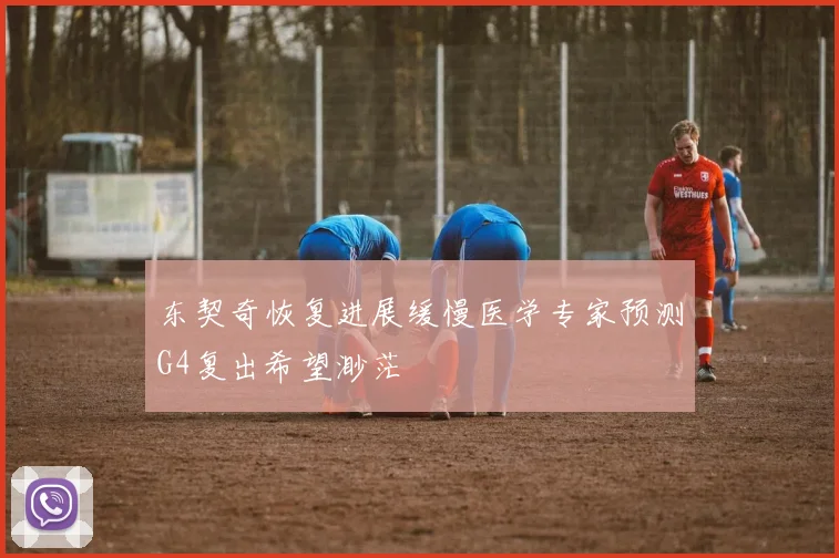 东契奇恢复进展缓慢医学专家预测G4复出希望渺茫